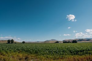 idaho land