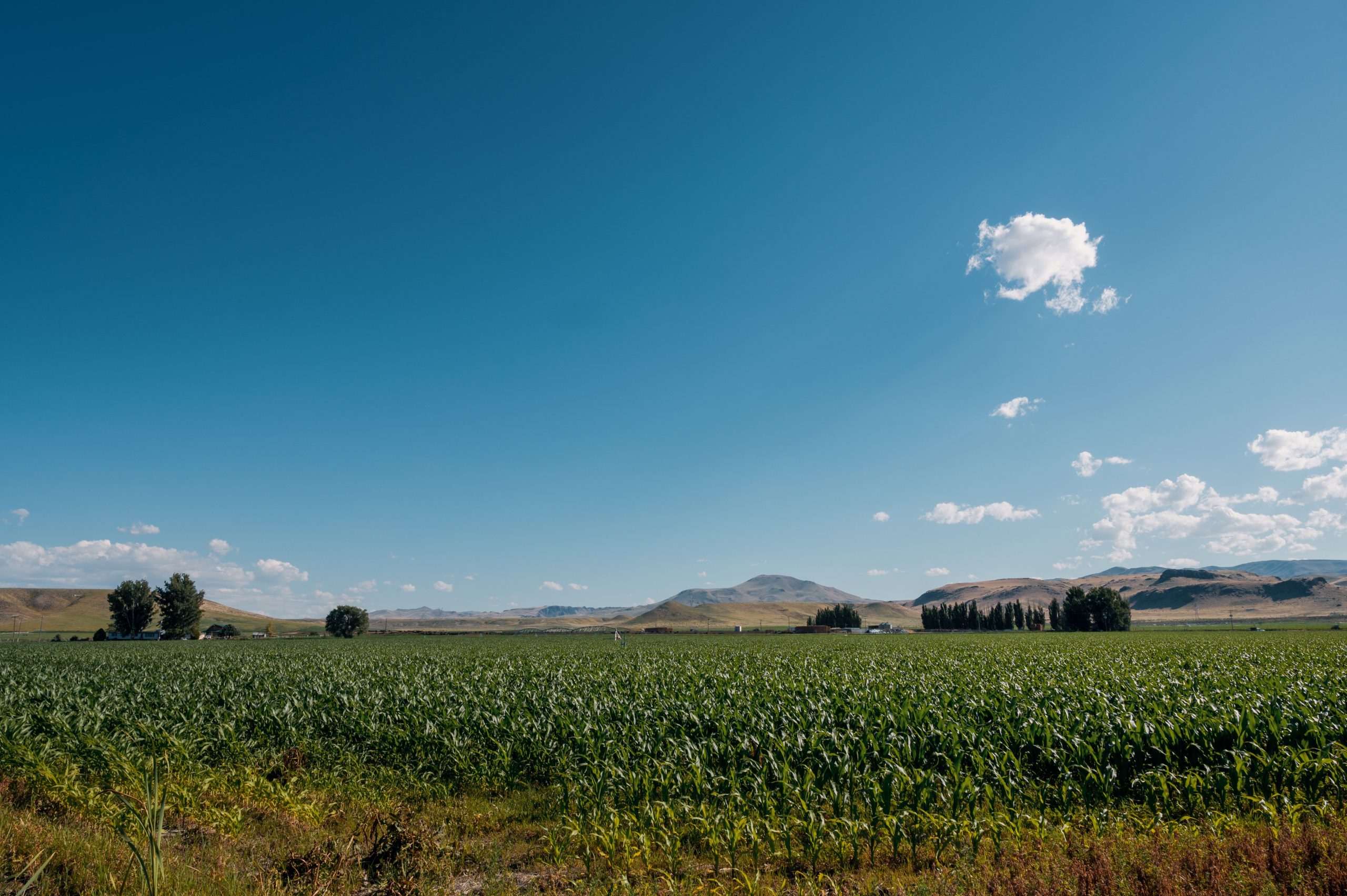 idaho land