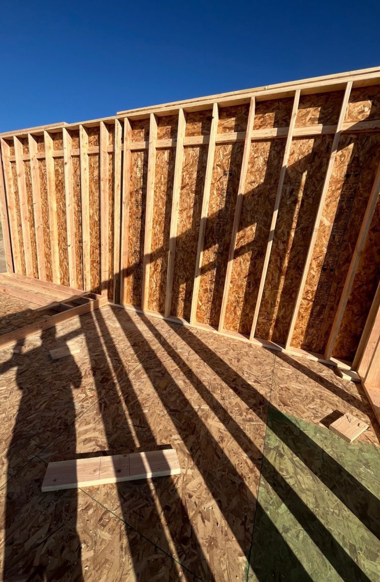 First exterior walls framed and standing