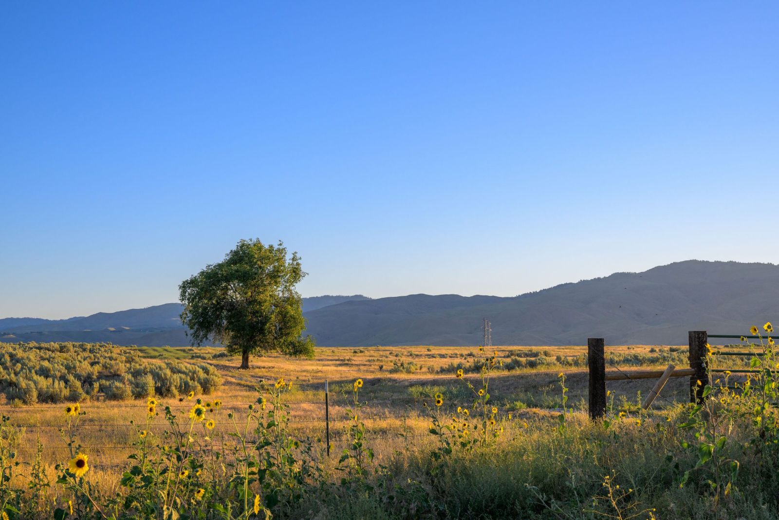 idaho lot