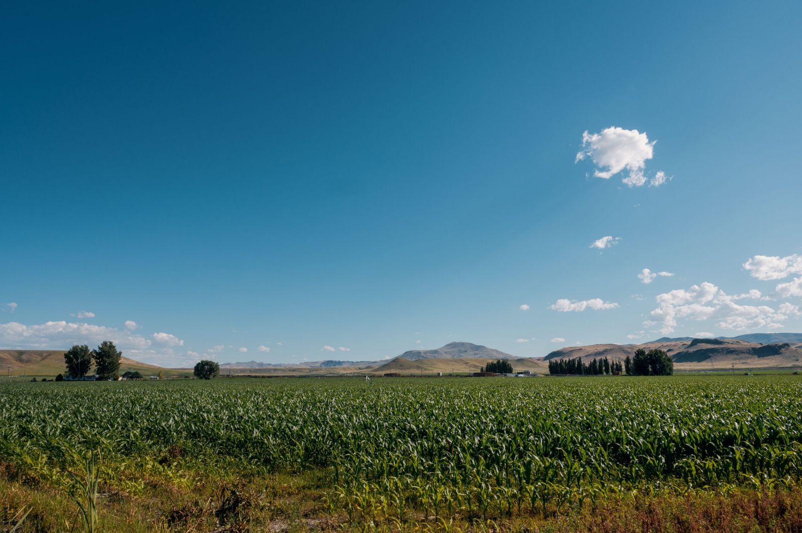 idaho land